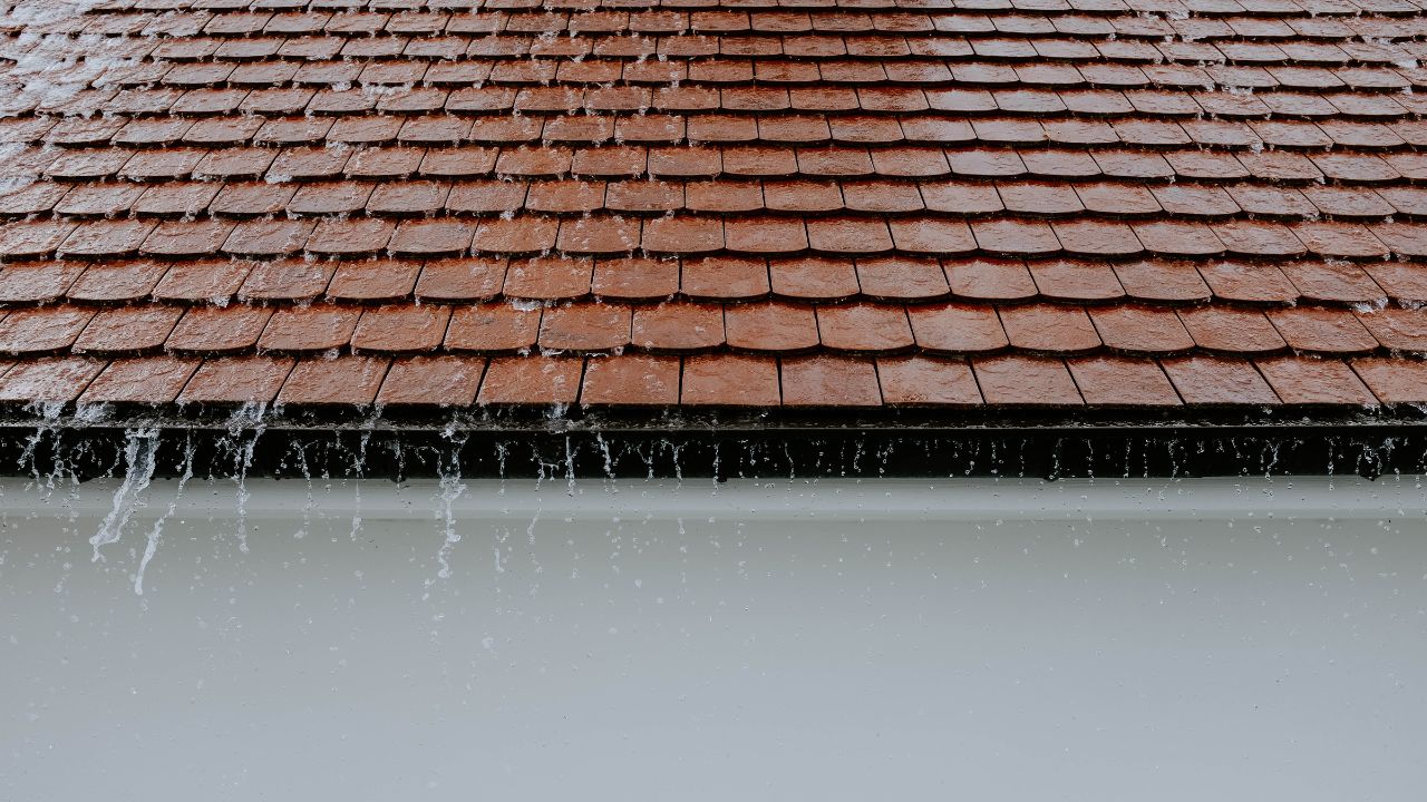 Gutter Repairs